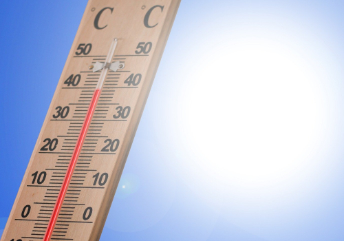 Canicule 2020