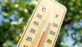 Canicule