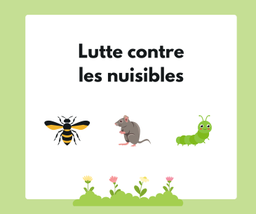 lutte nuisibles