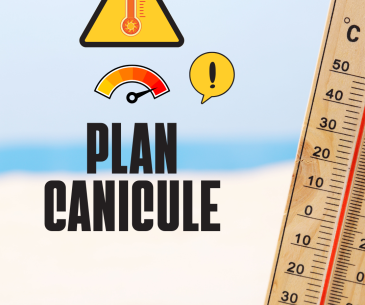 plan canicule 