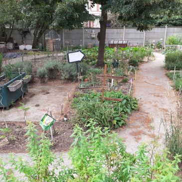 jardin partagé
