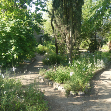 jardin partagé