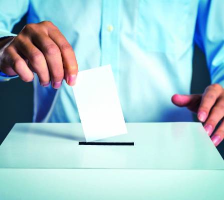 Elections Vignette