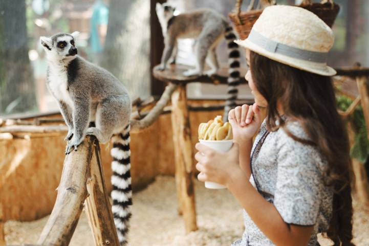 sortie zoo Vignette