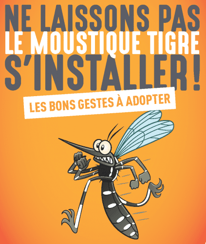Moustique tigre