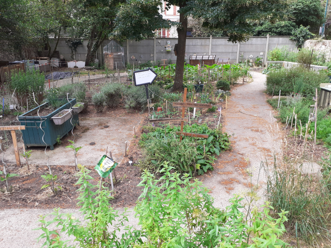 jardin partagé