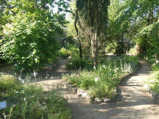 jardin partagé