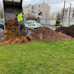 Fumier fourni par le centre équestre sannoisien Le galop