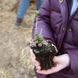 Plantation avec les élémentaires de l'accueil de loisirs