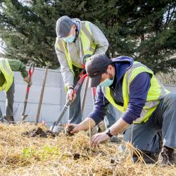 Agents des espaces verts