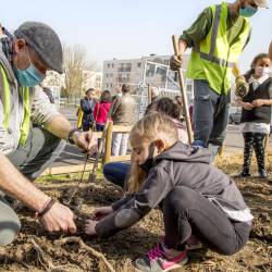 Plantation avec les éco-délégués