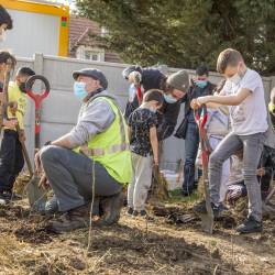 Plantation avec les éco-délégués