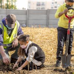 Plantation avec les éco-délégués